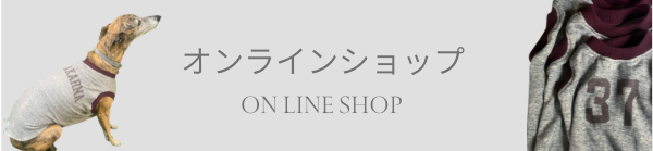 マリーナカーナオンラインページ